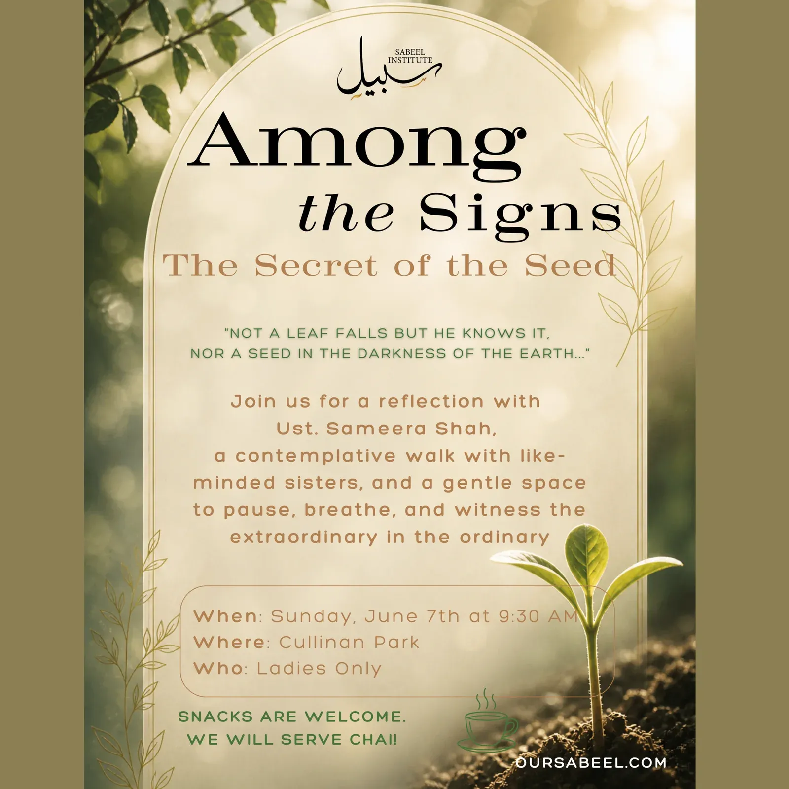 Flyer for Among the Signs